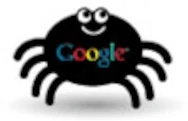 Google web spider